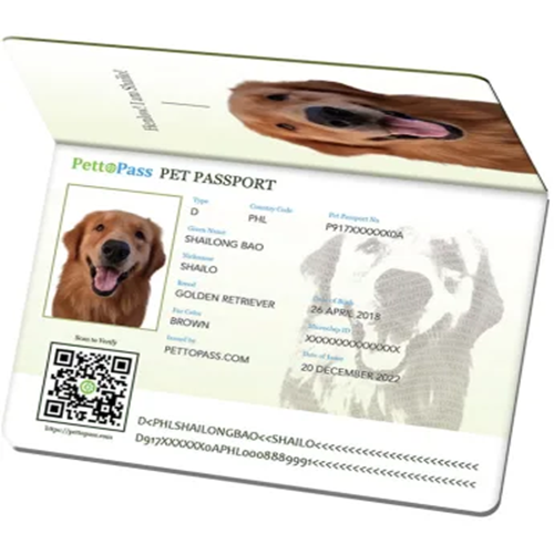 passport-345x400 صدور شناسنامه و پاسپورت - Image 1